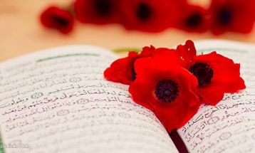 قرآن کریم صفحه ۱۱۳